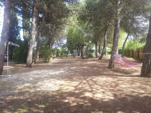 Agriturismo Vignavecchia