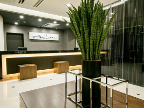 Отель Sardonyx Ueno