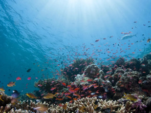 Holiday Inn Express Kota Kinabalu City Centre by IHG