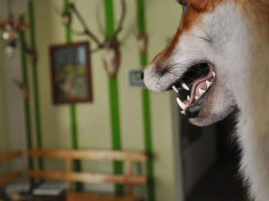 Rennsteighotel Herrnberger Hof