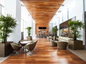 Prodigy Santos Dumont by Wish