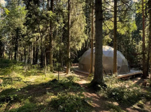 Вили Улей Карелия