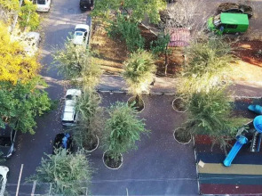 Domino Yerevan Hostel & Tours