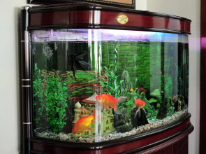 HANZ Sunny 2 Hotel Hanoi