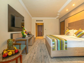 Xperience Kiroseiz Premier