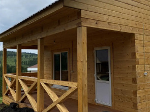 Кедр Золотой