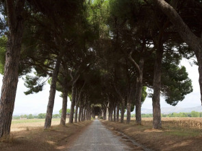 Agriturismo Pantano Borghese