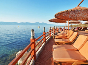 The Grand Blue Sky International