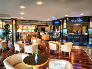 Gypsophila Club Marine