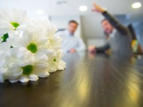 Hotel Madrid Sevilla