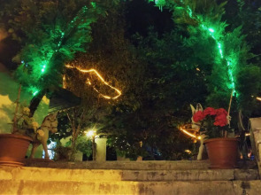 Garden Palace Boutique Hotel