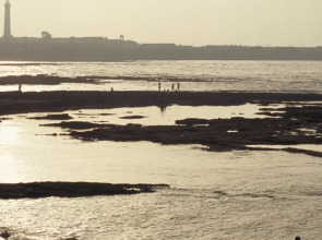 ibis Casablanca City Center