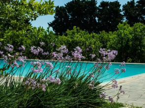 Agriturismo Chiusa di Carlo