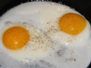 Downtown Belgrade Apartments