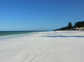 Jaz Adonia Beach Resort