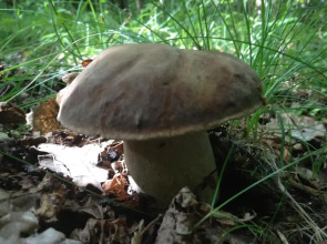 El Refugio de Aran Vielha Aparthotel