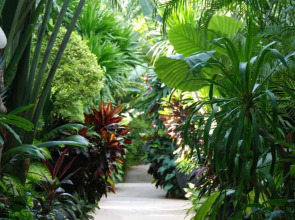 White House Beach Resort And Spa