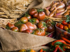 Agriturismo Arte Contadina