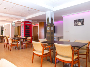 Magic Aqua Rock Gardens