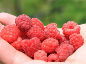 Hotel Solar Palace SPA & Wellness