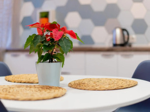 Апартаменты Курск на улице Димитрова