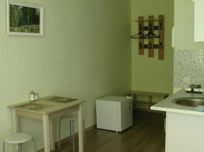 Студии у Московского проспекта