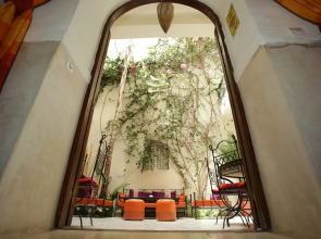 Riad White Flowers