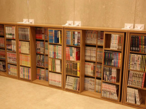 HOTEL MYSTAYS Hakodate Station