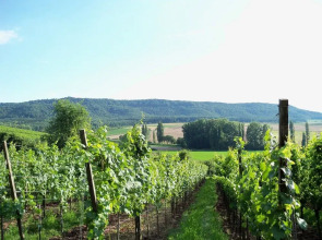 Landhotel & Weingasthof Schwarzer Adler