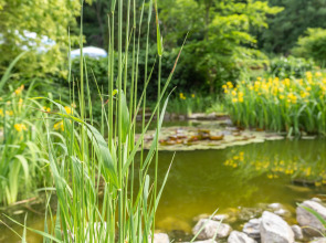 Hotel Erbprinzenpalais