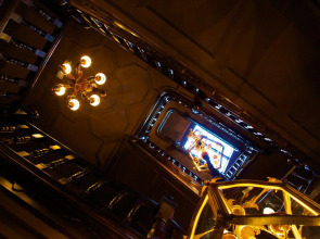 11 Cadogan Gardens and The Apartments by Iconic Luxury Hotels