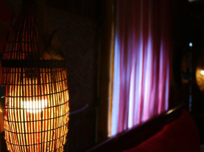 Under the coconut tree - Hostel