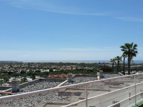 Bungalows Vista Oasis