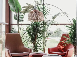 Villa Madrè San Rossore Apartments