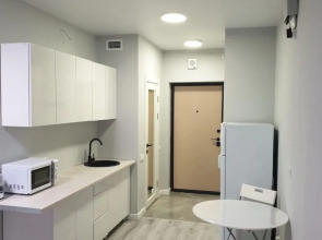 Апартаменты на Онежской 4