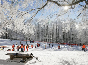 Hotel Tomislavov Dom