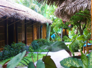 Under the coconut tree - Hostel