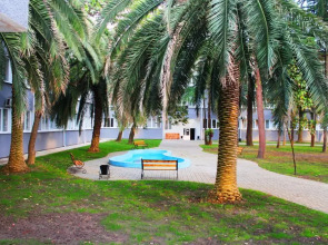 Отель Жоэквара