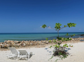 Coconutbeach Bungalows