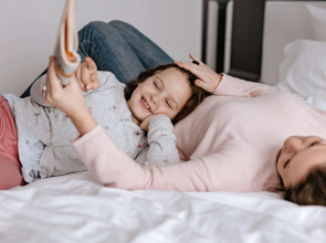 ibis Geneve Centre Nations