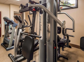 Spark by Hilton Rahway