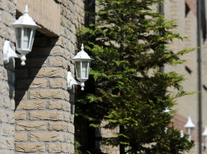 Отель «Амикус»