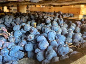 Corte San Mattia - Agriturismo in Verona