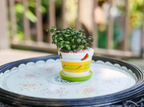 Diamond Park Inn Chiang Rai Resort