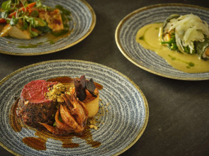 Park Plaza London Riverbank