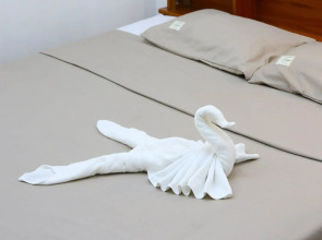 Quoc Dinh Guesthouse