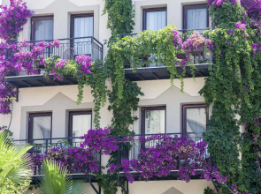 Golden Age Crystal Bodrum - All inclusive