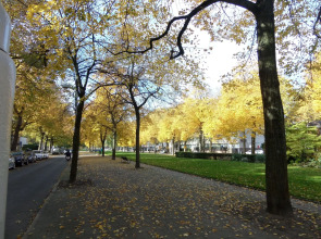 Apollofirst Boutique Hotel