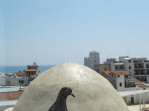 Livadhiotis City Hotel