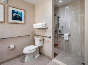 Gaylord Palms Resort & Convention Center